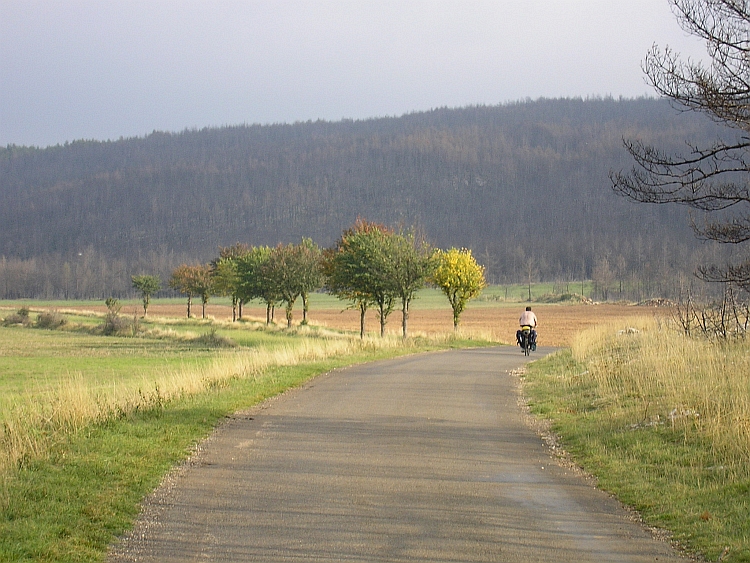 Causse Méjean