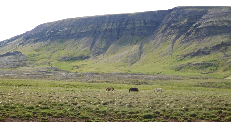 Landscape between Reykjavik and Þingvellir