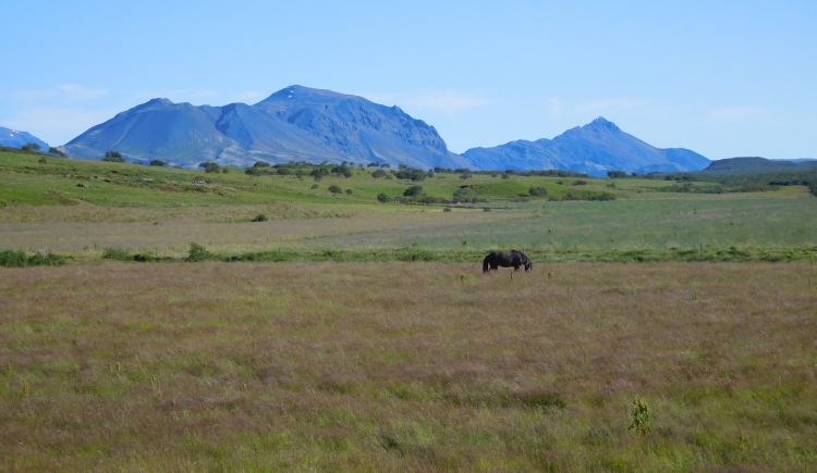 Landschap tussen Laugarvatn en Geysir