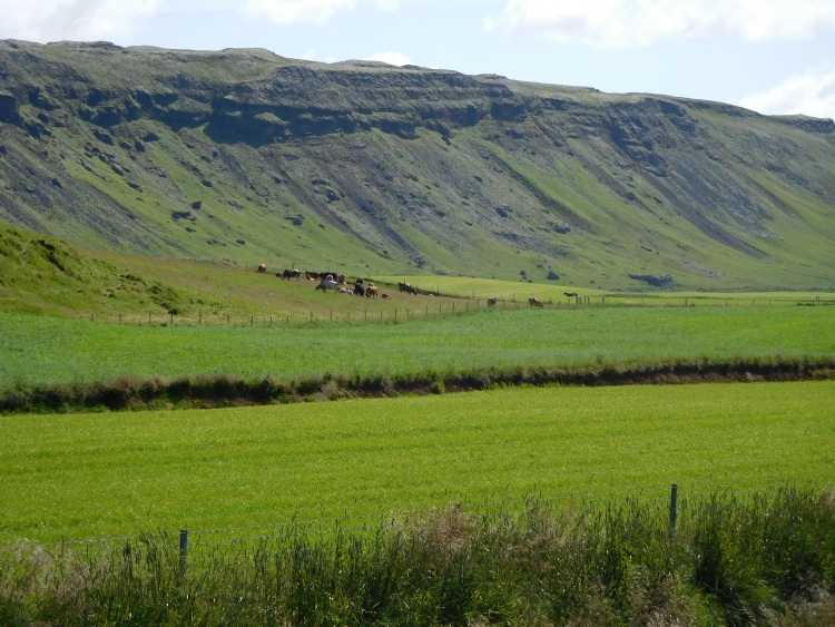 Landschap bij Flúđir