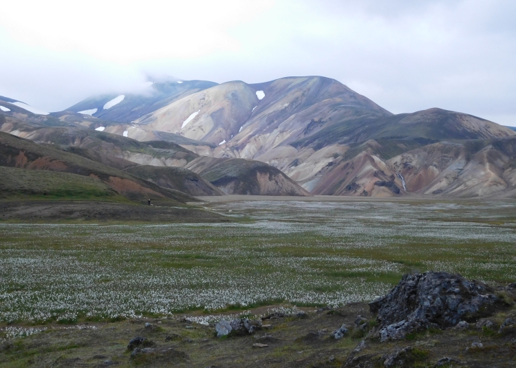 Landmannalaugar