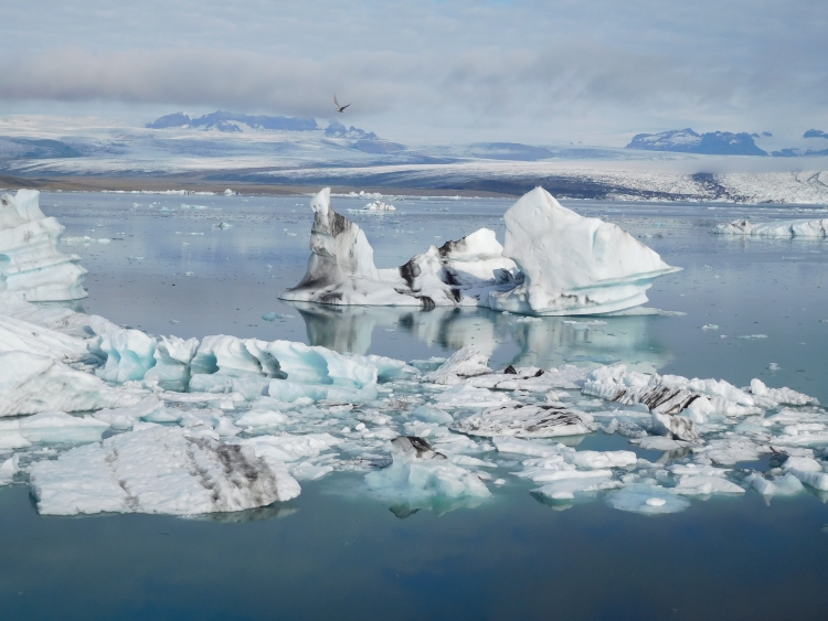 Jökulsárlón ice lake