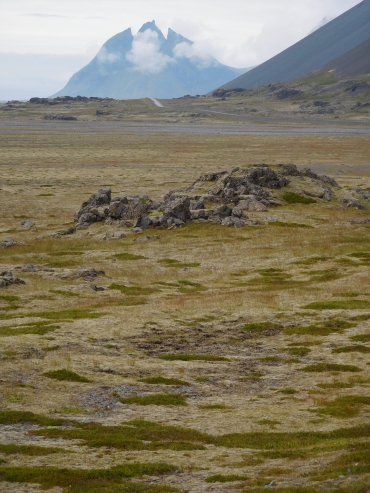 Landscape between Höfn and Djúpivogur