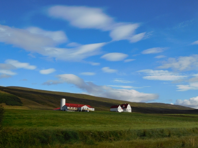 Farmstead along the Eyjafjörđur