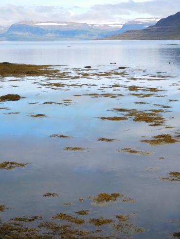 Landscape near Ögur