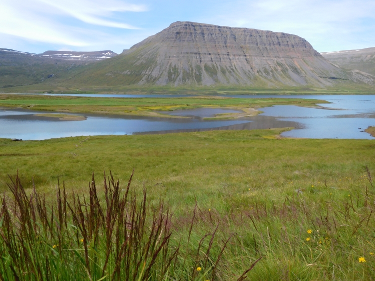 Alftafjördur