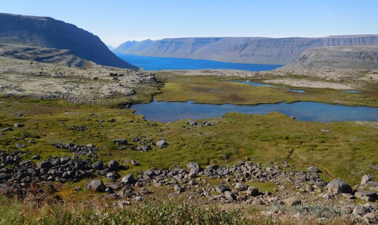 View from the Dynjandisheiđi highlands over the Suđurfiđir fjord