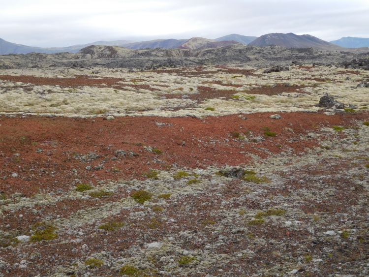 Landscape between Stykkishólmur and Grundarfjördur