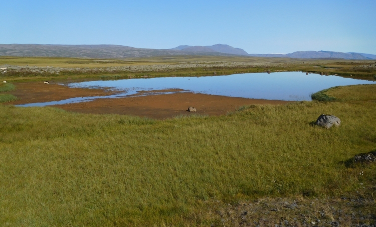 Nosfellsheiđi between Þingvellir and Reykjavik