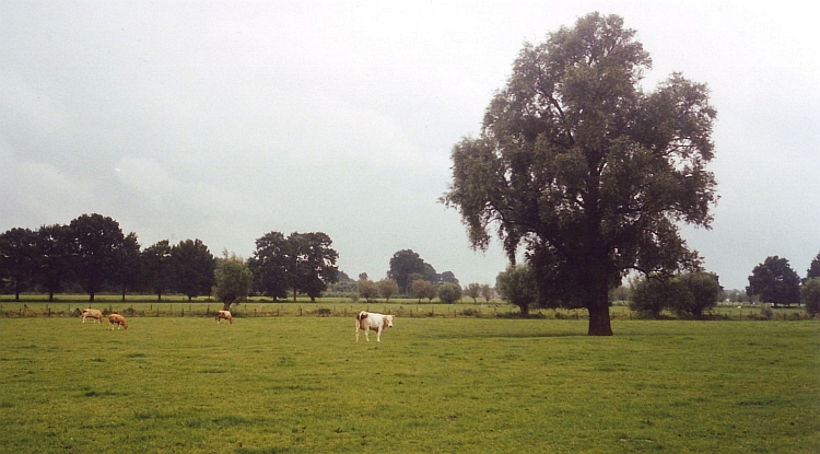 Aanvang in Bunnik, Nederland