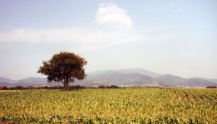 The Ballons, Vosges