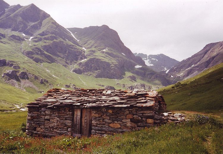 Alpine meadows, Iséran