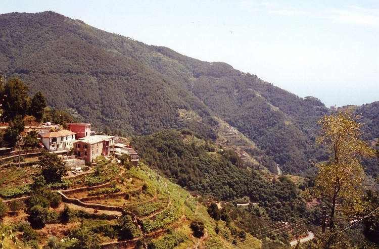 Cinque Terre