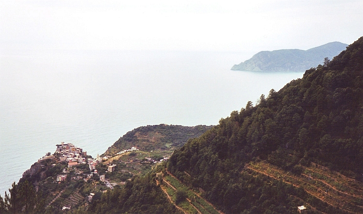 Terrassen in de Cinque Terre