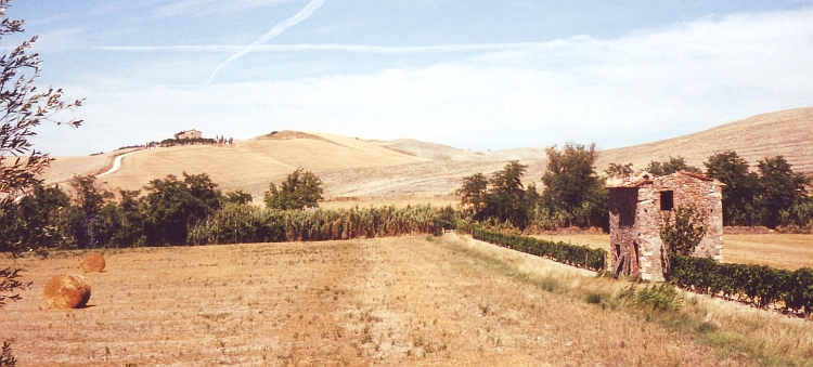 The rolling hills of Tuscany