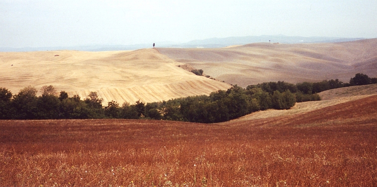 Glooiende heuvels in de Crete Senesi, Toscane