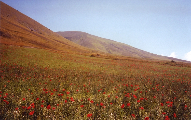 Monti Sibillini