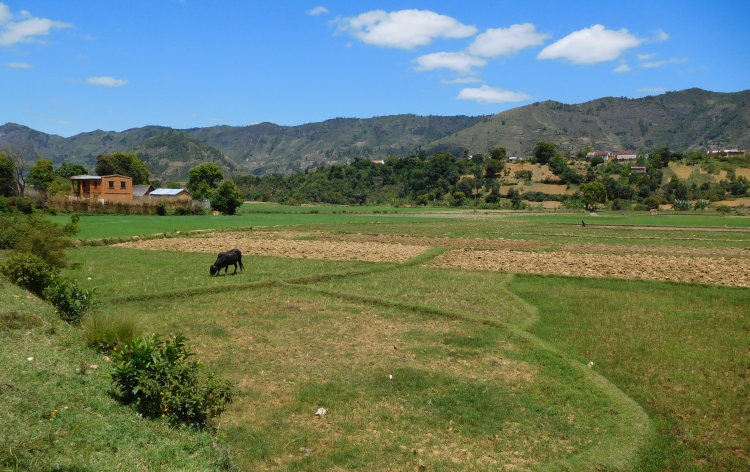 Tussen Mandraka en Moramanga