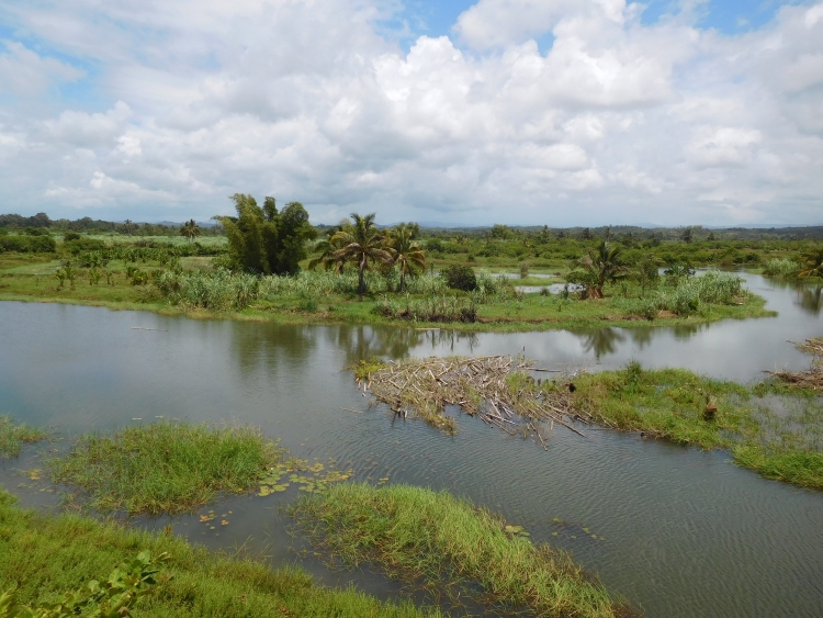 Between Toamasina and Foulpointe