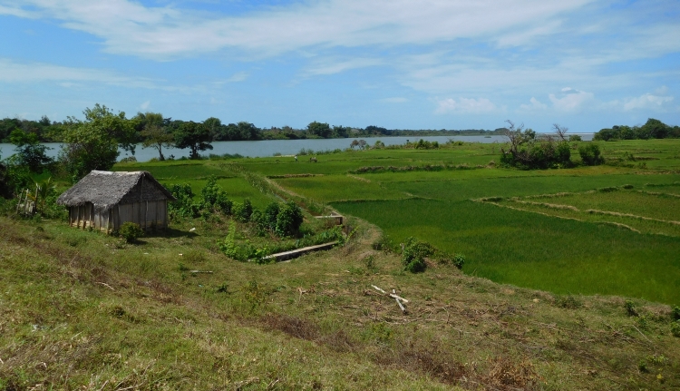 Tussen Foulpointe en Mahambo