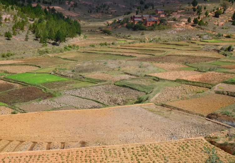 Between Antananarivo and Ambatolampy