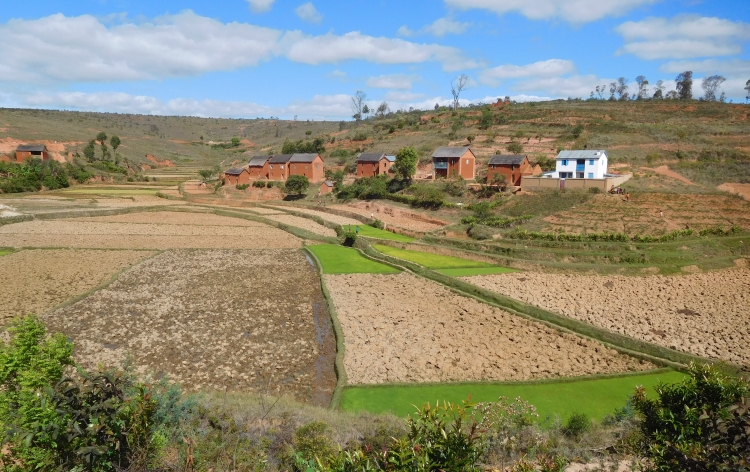 Tussen Antananarivo en Ambatolampy