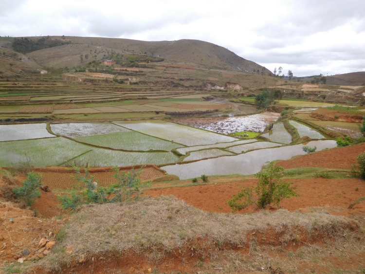 Tussen Ambatolampy en Antsirabe