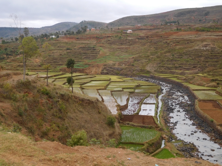 Between Ambatolampy and Antsirabe