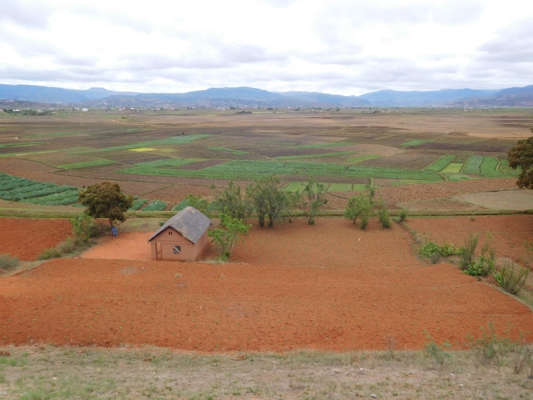 Tussen Ambatolampy en Antsirabe