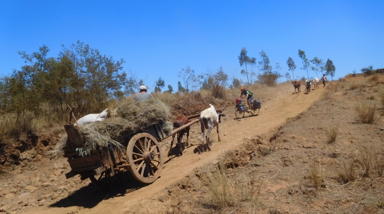 The busy roads of Madagascar (2)