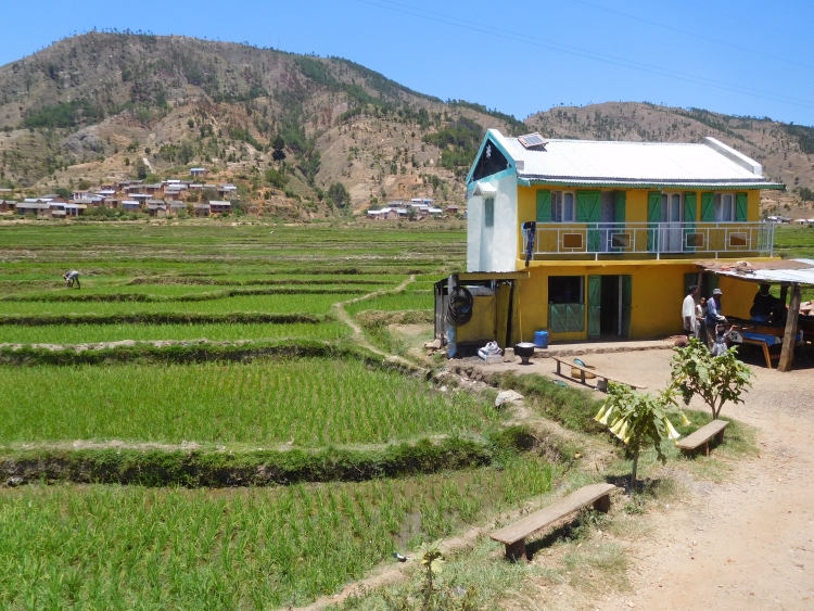 The rice fields between Antsirabe and Ambositra