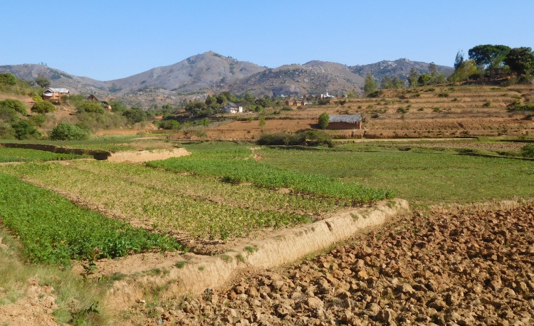 Between Antsirabe and Ambositra