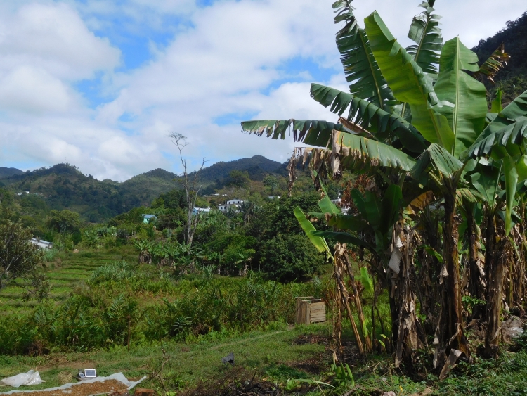 Landschap bij Ranomafana