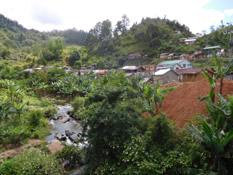 Village near Ranomafana