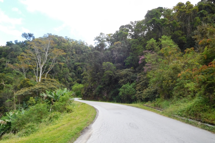 Landscape near Ranomafana