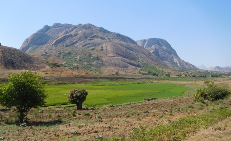 Landscape near Ambalavao