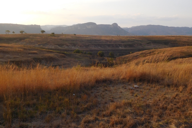 Landscape near Ranohira