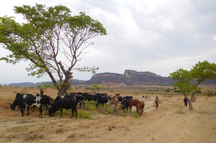 Landscape near National Park Isalo