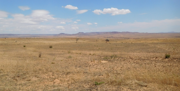 Landscape between Ilakaka and Sakaraha