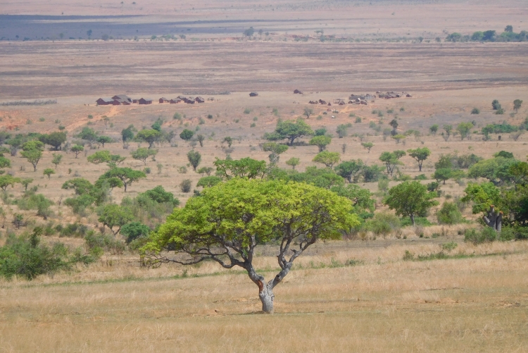 Landscape between Ilakaka and Sakaraha