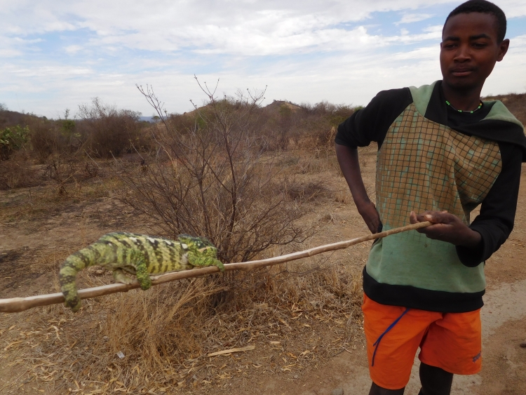 Boy with chameleon