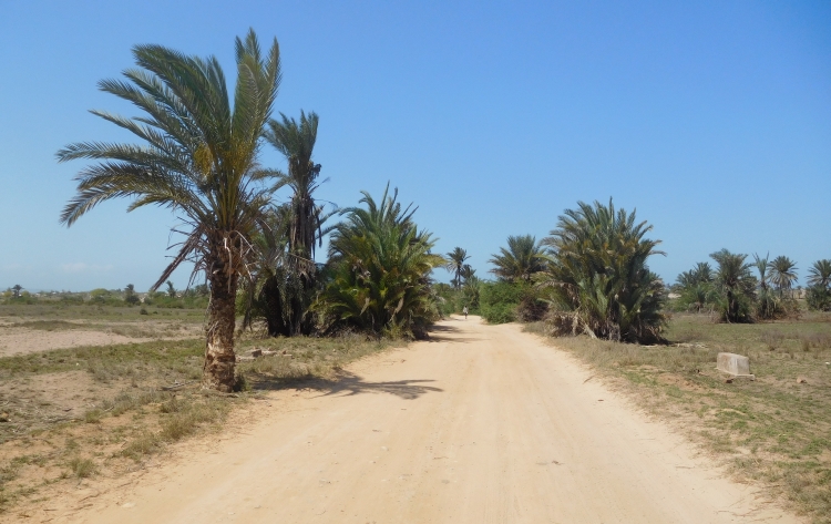 The road from Toliara to Saint Augustin