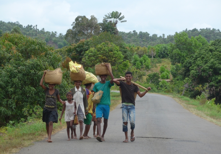 Between Fenerive and Soanierana Ivongo. Picture from Willem Hoffmans