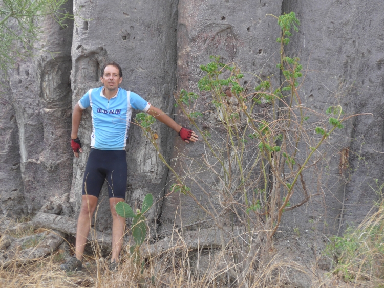 Bij een baobab. Foto van Willem Hoffmans