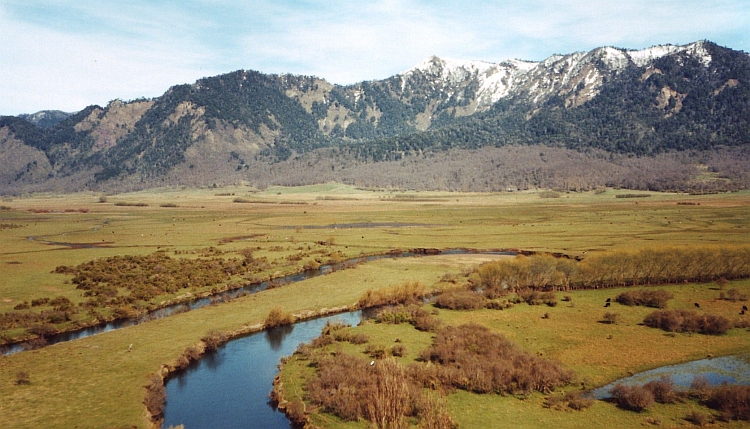 Vallei bij Lonquimay, Araucanía