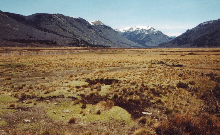 National Reserve Guallatué