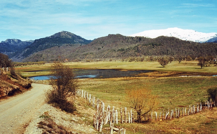 Between Lonquimay and Lake Guallatué