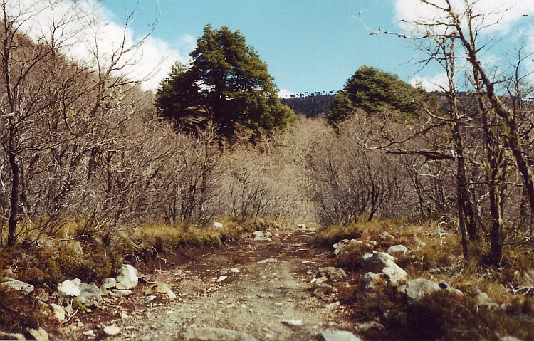 The worst road of South America Part I