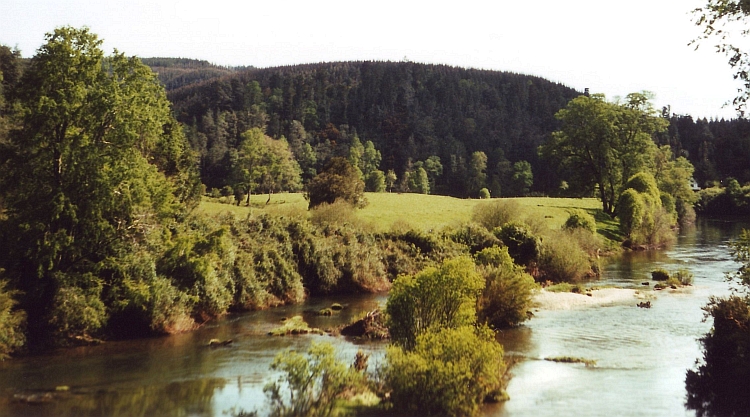 Coastal Mountain Range between Valdivia and Osorno