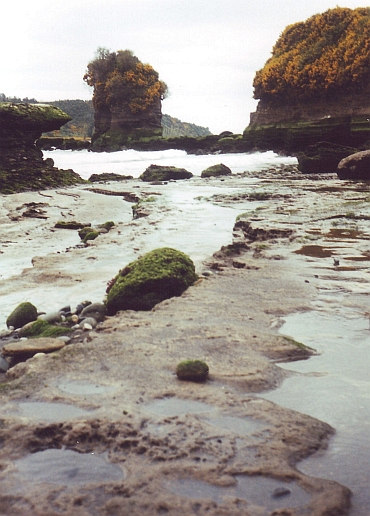 Kustlandschap bij Quemchi, Chiloë